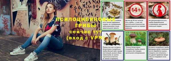 трава Алзамай