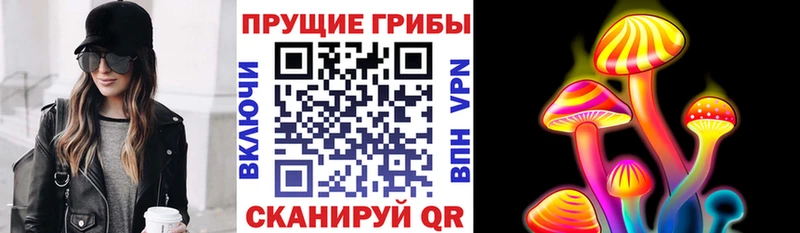 купить наркоту  Динская  Галлюциногенные грибы MAGIC MUSHROOMS 